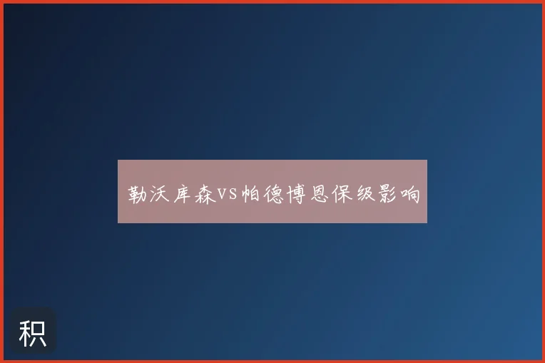 勒沃库森vs帕德博恩保级影响